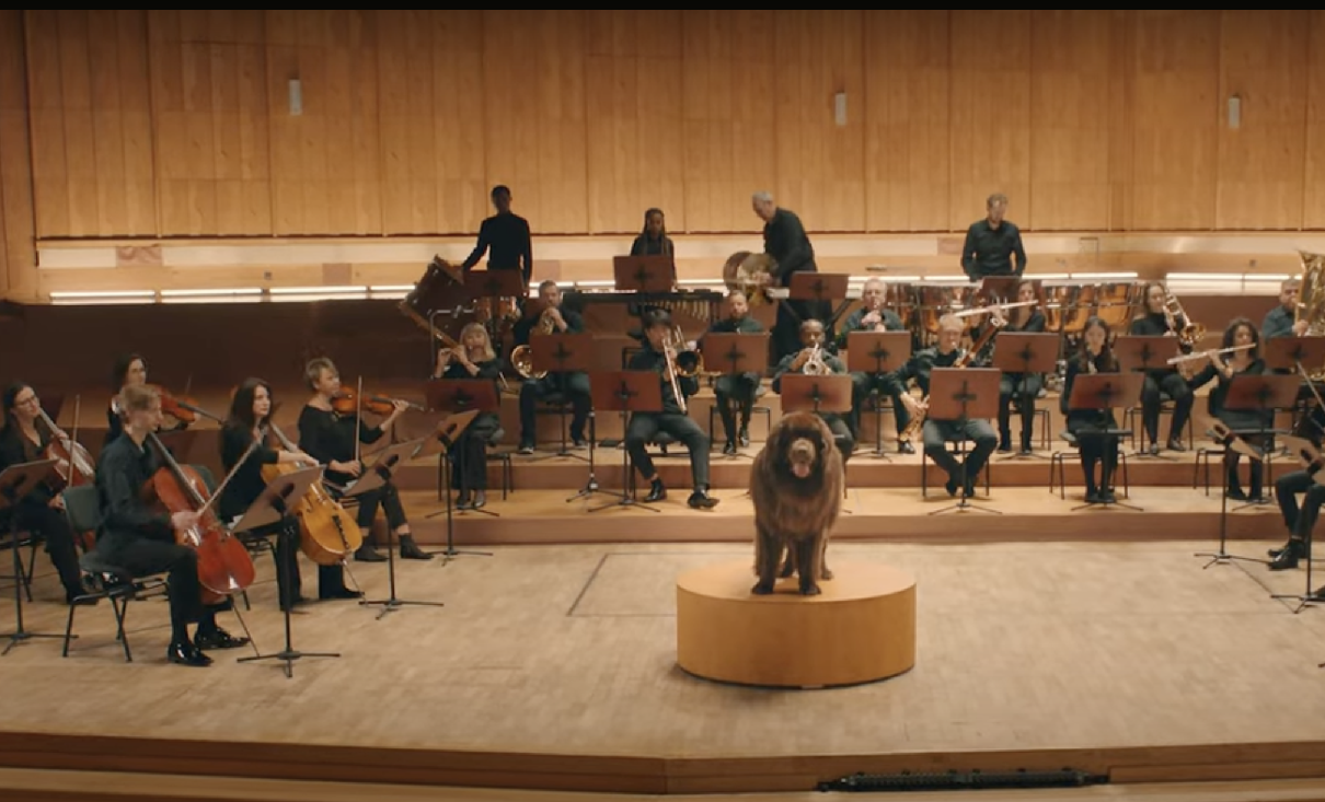 Pedigree unveils a dog orchestra where every wag has a story to tell.
