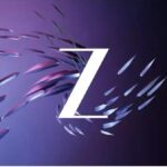 Z rolls out ‘Zee Spotlight’ with Hyundai as first partner